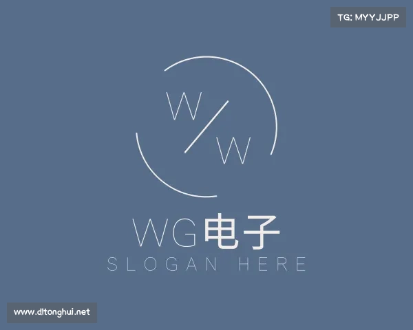 关于WG电子